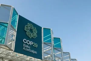 What is COP29 and what does it mean for your money? Image