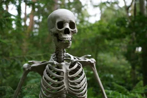 What skeletons are hiding in our bank accounts? Image